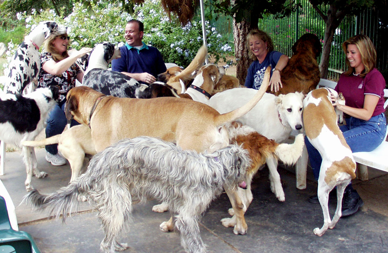 Gentle Giants Rescue and Adoptions